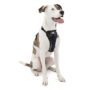 Kurgo Dog Harness | Pet Walking Harness | Medium | Black | No Pull Harness Front Clip Feat
