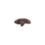 Fender Classic Celluloid Guitar Picks 351 Shape, Tortoise Shell, Heavy, 12-Pack