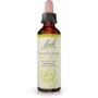 Bach Honeysuckle Essence #16, 20 ML