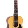 HOHNER 6 String Acoustic Guitar, Right Handed, Natural (HAG250P)