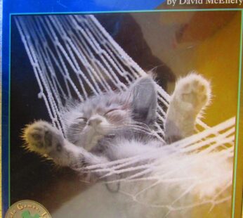 Buffalo Games David McEnery Classic Cats 500-piece Jigsaw Puzzle: Cat Nap II