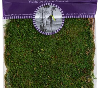 SuperMoss (21509) Sheet Moss Preserved, Fresh Green, 2oz