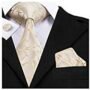 Hi-Tie Mens Wedding Champagne Ties Silk Beige Necktie with Pocket Square Cufflinks Set