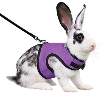 Niteangel Adjustable Soft Harness with Elastic Leash for Rabbits (M, Purple)