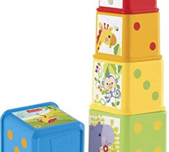 Fisher-Price Stack & Explore Blocks, Set of 5