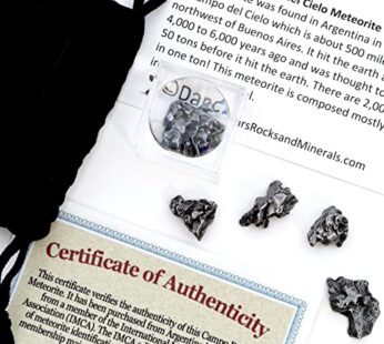 DANCING BEAR Meteorite from Space, 5 pcs Campo del Cielo from Argentina/Educational Card &