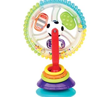 Sassy Wonder Wheel Activity Center