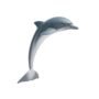 Safari Ltd. Dolphin Figurine - Lifelike 4.5" Model Figure - Educational Toy for Boys, Girl