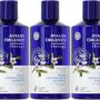 Avalon Organics Scalp Normalizing Shampoo, Tea Tree Mint Therapy 14 oz (Pack of 3)