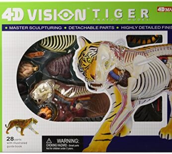 Famemaster 4D Vision Tiger Anatomy Model