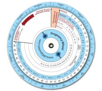 MDpocket Pregnancy Wheel