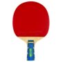 Butterfly BTY-CS 2000 Chinese Penhold Table Tennis Racket | Reverse Penhold Backhand Model