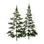 Sizzix 660978 Thinlits Die Set, Woodlands by Tim Holtz, 2/pack