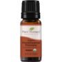 Plant Therapy Organic Frankincense Frereana Essential Oil 100% Pure, USDA Certified Organi