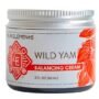 Four Elements 4E Organic Wild Yam Balancing Cream, 2 OZ - 1st Place Winner at The 2023 Int