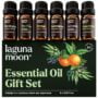 Essential Oils Set - Top 6 Blends for Diffusers, Home Care, Candle Making Scents, Fragranc
