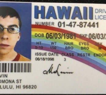 Signs 4 Fun Parody ID | McLovin ID | Fake ID Novelty ID | Collectible Trading Card Driver?