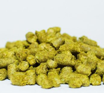 German Northern Brewer Hop Pellets 1 Oz.