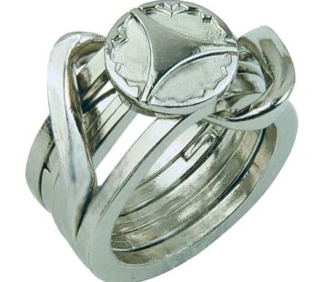 BePuzzled | Ring Hanayama Metal Brainteaser Puzzle Mensa Rated Level 5, for Ages 12 and Up