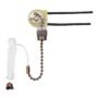 Westinghouse Lighting 7728700 Fan Light Switch with Antique Brass Pull Chain