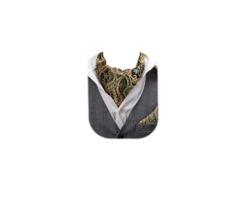 HISDERN Ascot Tie Mens Formal Cravat Ties Floral Paisley Polka Dot Jacquard Self Ascots Cr