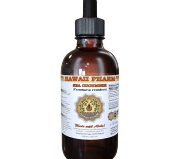 HawaiiPharm Sea Cucumber Liquid Extract, Sea Cucumber (Cucumaria Frondosa) Tincture Supple