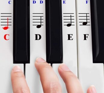 QMG Piano Stickers for 49/61/ 76/88 Key Keyboards   Transparent and Removable; Made in USA