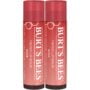 Burt's Bees Lip Tint Balm with Long Lasting 2 in 1 Duo Tinted Balm Formula, Color Infused