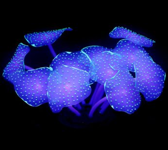 Uniclife Silicone Coral Plant Decorations Glowing Artificial Ornament for Fish Tank Aquari