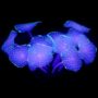 Uniclife Silicone Coral Plant Decorations Glowing Artificial Ornament for Fish Tank Aquari