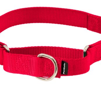 PetSafe Martingale Collar with Quick Snap Buckle, 3/4″ Medium, Red