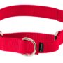 PetSafe Martingale Collar with Quick Snap Buckle, 3/4" Medium, Red