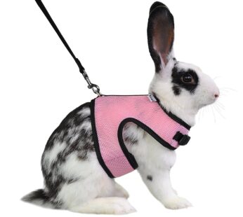 Niteangel Adjustable Soft Harness with Elastic Leash for Rabbits (L, Pink)