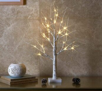 EAMBRITE Tabletop Birch Tree Home Decorations, White Birch Tree with Lights, 24 LED Lighte