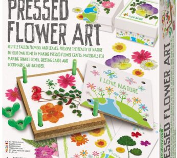 4M Green Creativity Pressed Flower Art Kit, Recycle Flowers Art & Crafts DIY Kit, For Boys