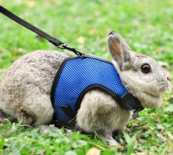 PETTOM Bunny Rabbit Harness with Stretchy Leash Cute Adjustable Buckle Breathable Mesh Ves