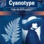 Jacquard Cyanotype Pretreated Fabric Sheets 10 Pack - Rich Blue Color - Quality Cotton Sat