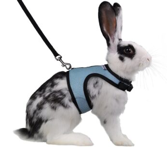 Niteangel Adjustable Soft Harness with Elastic Leash for Rabbits (L, Blue)