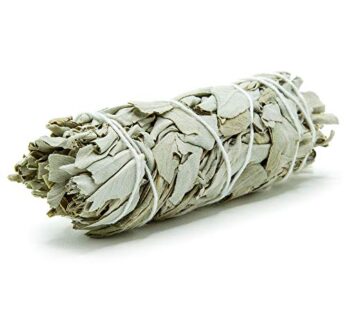 GloFX White Sage Bundle – 1 Pack – 4 Inches Wild Harvested California Smudge Stick Wand fo