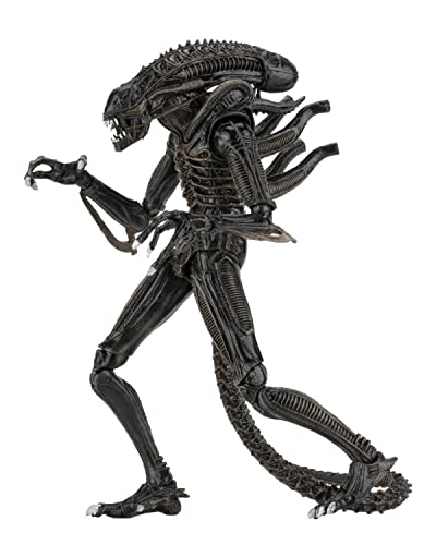 NECA - Alien- 7" Scale Action Figures - Ultimate Warrior - (1986) Brown Alien