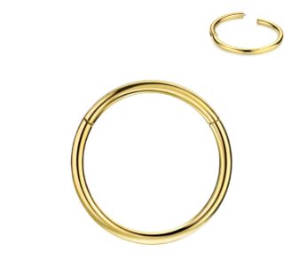 FANSING Gold Nose Rings 14g 7mm Nose Hoop 14 Gauge Piercing Hoop for Cartilage Helix Septu