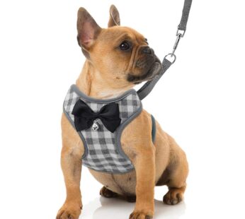 Rypet Small Dog Harness and Leash Set – No Pull Pet Harness with Soft Mesh Nylon Vest for