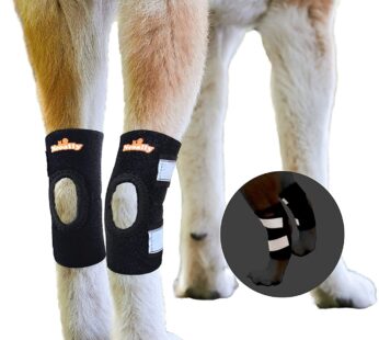 NeoAlly – Short Rear Leg Hock Brace, Dog Leg Brace for Rear Leg, Hock & Ankle Support, Dog