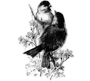 Hying 2 Love Birds on Flowers Words Clear Stamps for Card Making Scrapbooking Crafting DIY