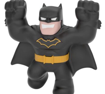 Heroes Of Goo Jit Zu – DC Mini (Character sent at random)