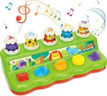 Duchong Interactive Pop Up Animals Eggs Toy with Music & Sound, Early Developmental Learni