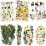 BIHRTC 100PCS Dried Flowers for Resin Real Dry Flower Natural Pressed Died Leaves Sunflowe
