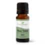 Plant Therapy Tea Tree Essential Oil 100% Pure, Undiluted, Natural Aromatherapy, Therapeutic Grade 10 mL (1/3 oz)