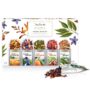 Tea Forte Single Steeps Loose Leaf Herbal Retreat Tea Sampler, Assorted Variety Tea Box, Single Serve Pouches, 15 Count (Pack of 1)