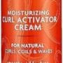 Cantu Shea Butter Moisturizing Curl Activator Cream 12 Oz., Ivory (0002)